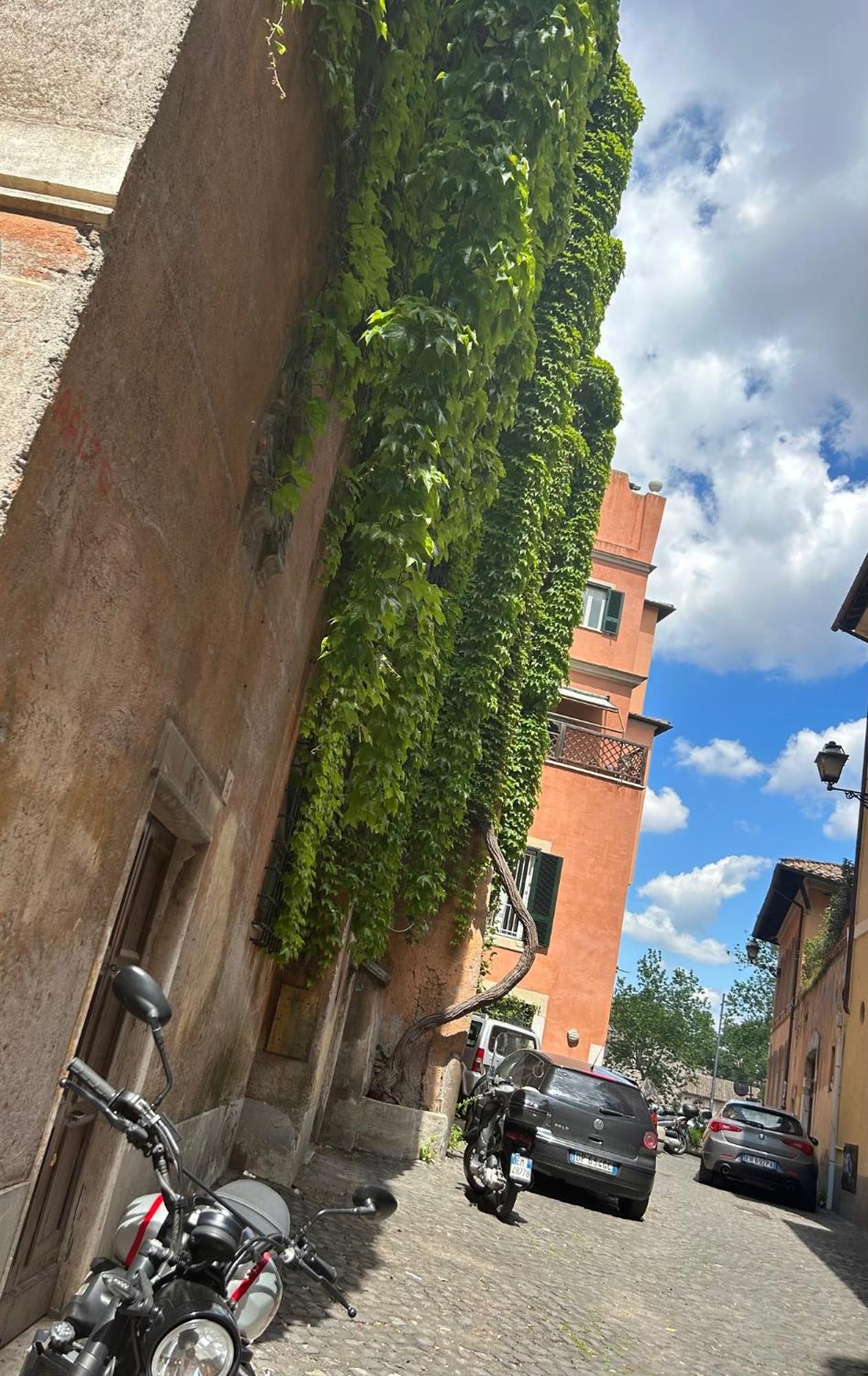 Garden House Trastevere Roma Ngoại thất bức ảnh